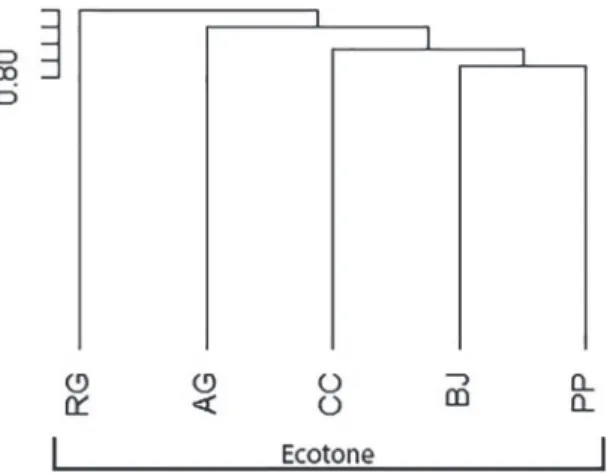 FIGURE 3: Dendrogram for similarity of lizard species composition  in the Middle Gurguéia (MG) with previously studied areas in Piauí