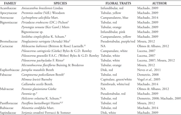 TABLE 1: Reported plants visited by Anopetia gounellei, floral traits, and references