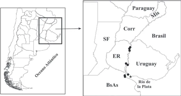 FIGURA 12: Distribución de Potamolithus supersulcatus. La estrella indica la localidad tipo (Isla San Gabriel, Uruguay)