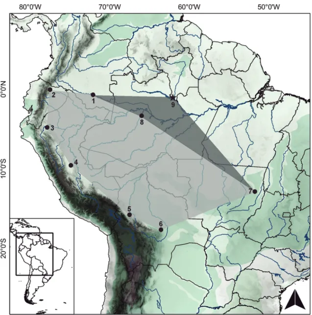 FIGURA 5: Localidades de coleta de Marmosops (Sciophanes) bishopi na bacia Amazônica; os círculos inseridos no polígono cinza claro  representam dados obtidos de Díaz-Nieto &amp; Voss (2016) e a estrela inserida no polígono cinza escuro representa o novo r