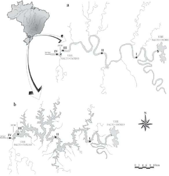 Fig. 1. Map of the studied area. Iguaçu river (a) and Salto Caxias reservoir (b).