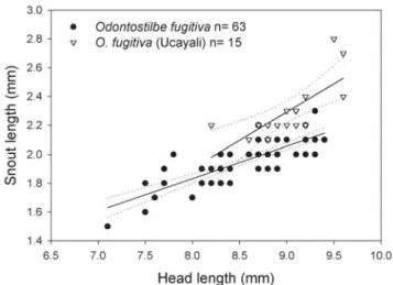 Fig 9. Upper jaw length as a function of head length for males of Odontostilbe fugitiva, specimens widely distributed on rio Amazonas, and upper and middle río Maranõn basin, against O.