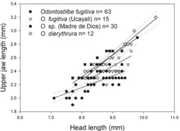 Fig. 12.. Snout to pectoral-fin length as a function of stan- stan-dard length for males, females, and unsexed specimens of Odontostilbe fugitiva, specimens widely distributed in rio Amazonas basin against specimens of rio Solimões basin (middle rio Amazon