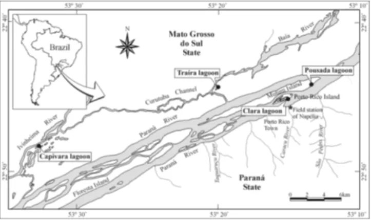 Fig. 1. Map of the upper Paraná River floodplain showing the locations of the sampling stations (lagoons).