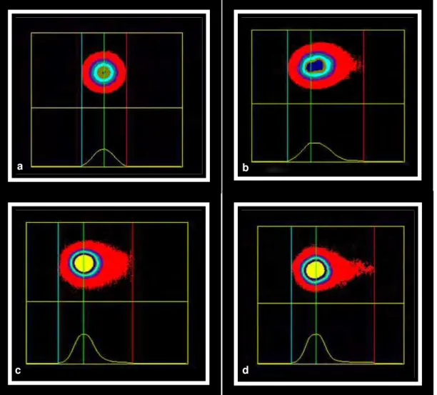 Figura  5.  Fotomicrografias  de  células  neoplásicas  de  mama  de  cadelas  submetidas  ao  Ensaio Cometa