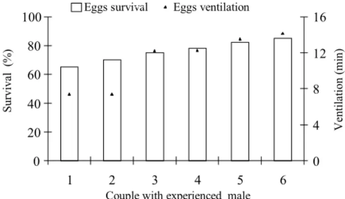 Fig. 2. Survival of the eggs in relation to care provided by experienced males through aeration (Pearson, p < 0.01).