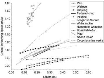Fig. 5. Curves representing the relationship between critical speed (m/s) and length (m) for the piau at different  tempera-tures, compared to two salmonids (Salmo salar  and Oncorhynchus nerka).
