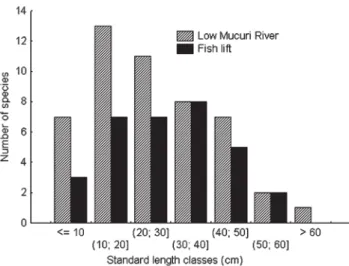 Fig. 4. Relative abundance of target species in the lower Mucuri River, in the Santa Clara tailrace (2002/2003) and in the Santa Clara Dam fish lift (2003/2004).