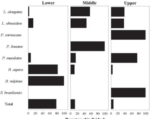 Fig. 6. Number of individuals for species captured in Protocol II (assessment of ascending and descending movements).