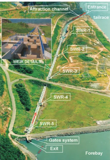 Fig. 1. Overview of the fish ladder and details of the weirs.