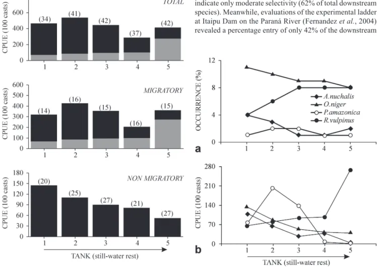 Fig. 2. Catch per unit effort of fish (CPUE; individuals per 100 casts) along the fish ladder at Lajeado Dam (Numbers in  pa-rentheses = total number of species; gray light portions of columns indicate the proportion of Rhaphiodon vulpinus;