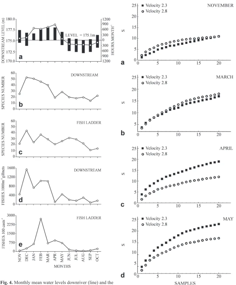 Fig. 4. Monthly mean water levels downriver (line) and the number of hours with elevations less than 175.1 m (columns) (a), the number and abundance of fish species in samples downstream from the dam (b and d) and from the fish ladder (c and e) of Lajeado 