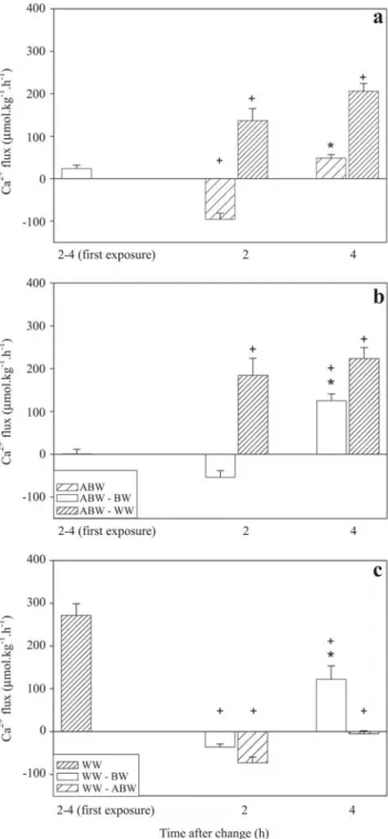 Fig. 3. Net Ca 2+  fluxes of Hoplosternum littorale transferred from black water (BW) to acidic black water pH 3.5 (ABW) or white water (WW) (a), and fish transferred from ABW to BW or WW (b) and fish transferred from WW to BW or ABW (c)