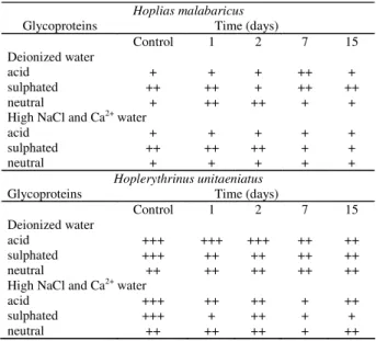 Table 1. Mucosubstances in the mucous cells of the gill epithelium of H. malabaricus and H