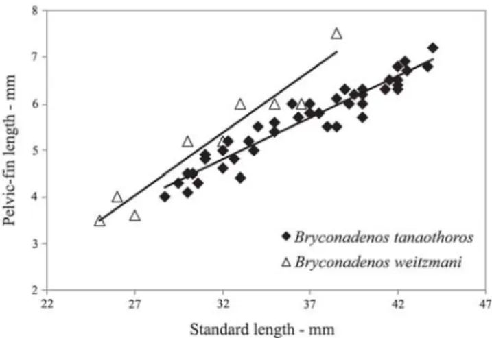 Fig. 3. Scanning electronic micrograph of upper and lower jaws of Bryconadenos weitzmani, paratype, MZUSP 96558, 38.5 mm SL, male; lateral view, anterior to right