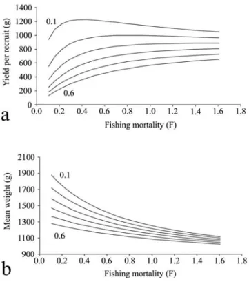 Table 3. Parameters estimated for the von Bertalanffy model using non-linear procedure (L     = asymptotic length (cm), k = growth rate (year -1 ),  F = Fisher Statistic, P = level of significance, SST = sum of the corrected total squares) for S.