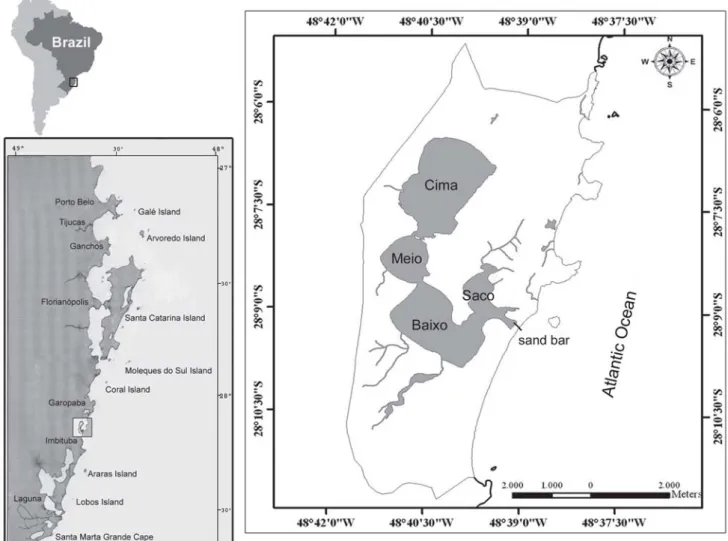 Fig. 1. The location of Ibiraquera Lagoon on the southern Brazilian coast with its four stations in detail (Saco, Baixo, Meio and Cima).