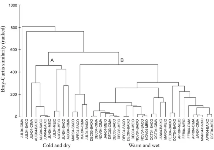Fig. 7. Cluster dendrogram based on similarities of the samples collected in Ibiraquera Lagoon from December 2003 to December 2004