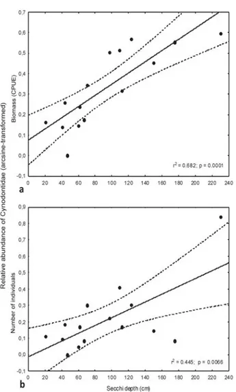 Fig. 2. Linear regression between relative abundance in biomass (a) and number of individuals (b) of Cynodontidae species and water transparency from 15 sampling sites in the Bananal floodplain, Mato Grosso, Brazil.