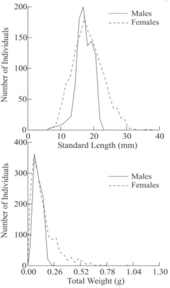 Fig. 3. Length-weight relationships for males and females of Phallotorynus pankalos in a first-order stream of the Iguatemi River Basin from March/2007 to February/2008.