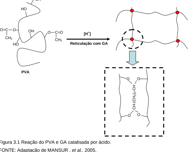 Figura 3.1 Reação do PVA e GA catalisada por ácido.  FONTE: Adaptação de MANSUR , et al., 2005
