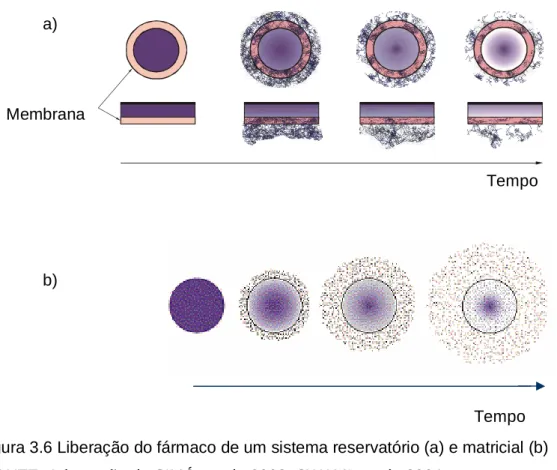 Figura 3.6 Liberação do fármaco de um sistema reservatório (a) e matricial (b)   FONTE: Adaptação de SIMÓ, et al., 2003; SWAMI, et al., 2004 