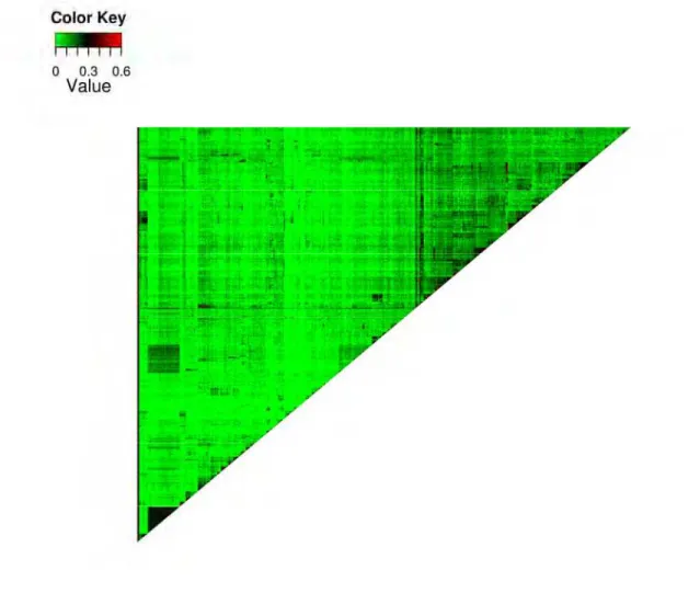 Figura  9.  Experimento  2.  “Heatmap”  da  proporção  de  alelos  idênticos  por  descendência  (IBD)  entre  os  pares  amostrais