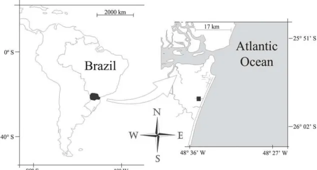 Table 1. Food items found in 129 stomach contents of Rivulus luelingi from a Coastal Atlantic Rainforest stream in southern Brazil.