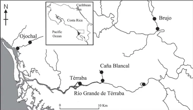 Fig. 1. Study area, the main  River Térraba  and Streams Ojochal, Caña Blancal and Brujo with the respective data recollection points.