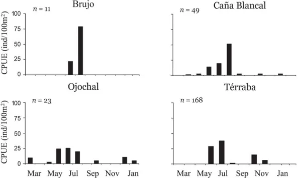 Fig. 4. Capture per unit effort (CPUE) by month for Agonostomus monticola recruits in the Térraba River and three tributaries.