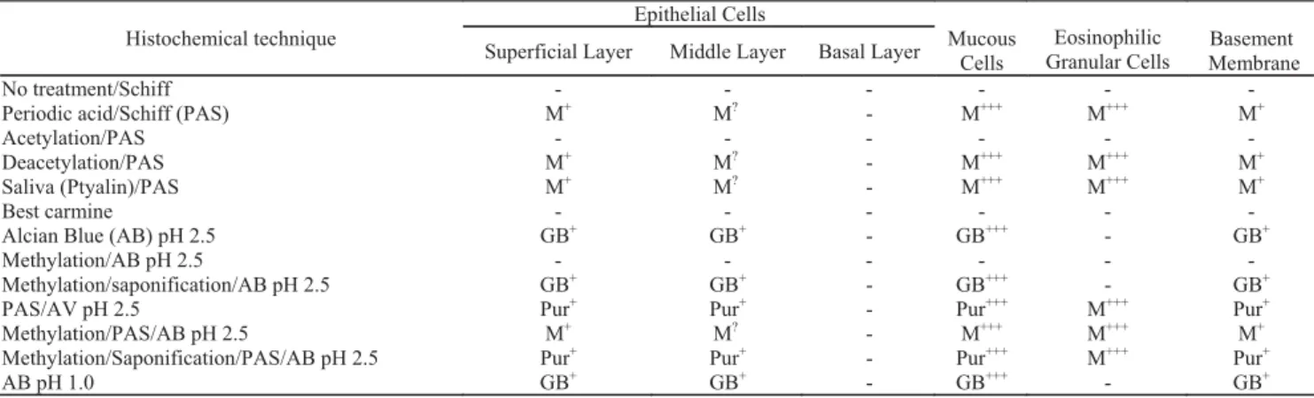Table 2. Summary of histochemical reactions of the carbohydrate moieties in different cell types of Ancistrus dolichopterus epidermis at the dorsal part of the body