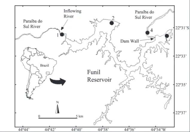 Fig. 1. Paraíba do Sul River - Funil Reservoir system. The four sampled zones are shown (1 = Zone 1; 2 = Zone 2; 3 = Zone 3, and 4 = Zone 4).