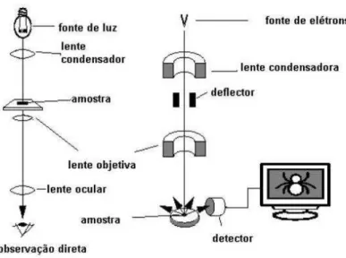Figura 2.14  – Desenho esquemático para comparação entre microscópio óptico e microscópio eletrônico de  varredura