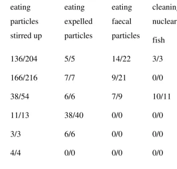 Table  2.  Quantitative  records  of  the  four  foraging  behaviour  types  displayed  by  the  Noronha  wrasse  (Thalassoma  noronhanum)  while  following  six  reef  fish  species  at  Fernando de Noronha Archipelago
