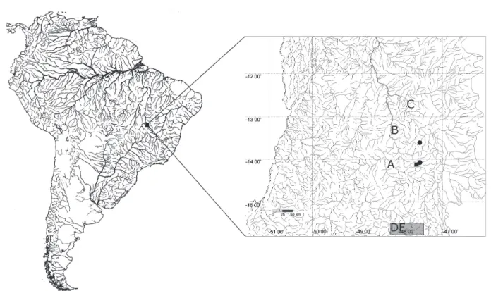 Fig. 3. Distribution of Astyanax goyanensis (circles) and A. courensis, new species (square), on upper rio Tocantins, Alto Paraíso de Goiás, Goiás State, Brazil