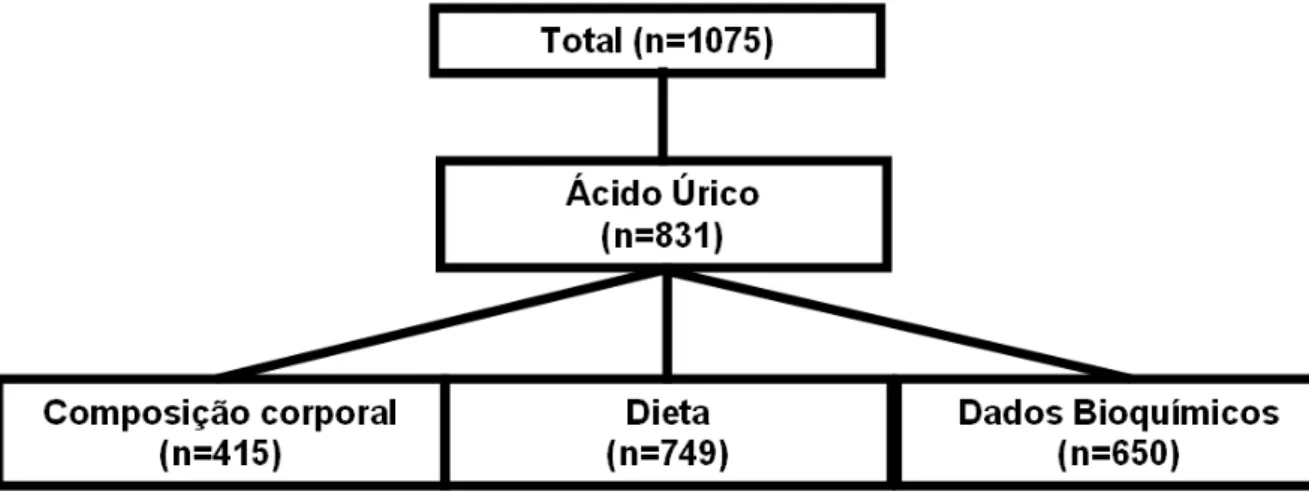 Figura 1. Fluxograma dos indivíduos participantes do estudo. 