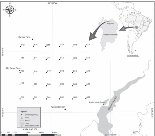 Fig. 1. Geographical location of the study area and the Site of Long-Term Sampling (in the area)
