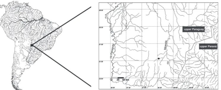 Fig. 1. Location of the study area, indicating the córrego Olho d’Água in South America (black dot).