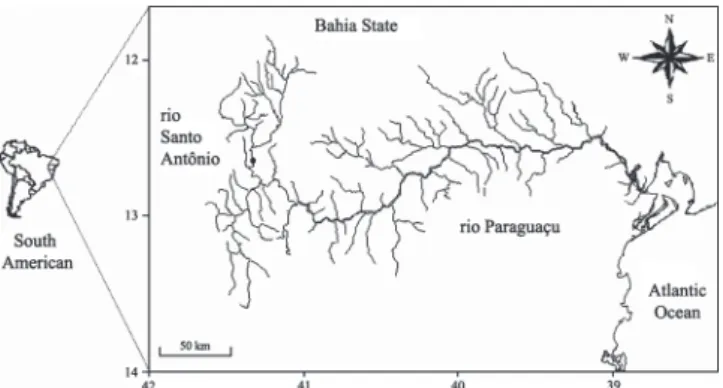 Fig. 1. Geographical location of the rio Paraguaçu drainage and of the sampling stretch in the rio Santo Antônio (black dot).