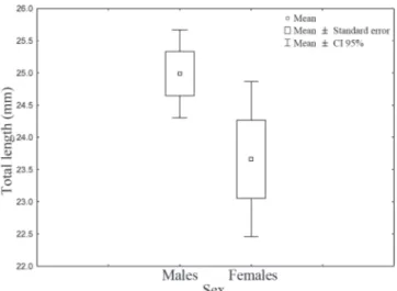 Fig. 2. Average, standard error and confidence interval (95%) for the lengths of males and females of Cynopoecilus melanotaenia from wetlands between São Gonçalo channel and Pelotas stream, during May and June 2005, and September 2006.
