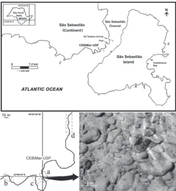 Table 1. Chi-square tests (  2 ) for analyses on microhabitat preference between the two most well scanned areas (Baleeiro Isthmus and Saco Grande)