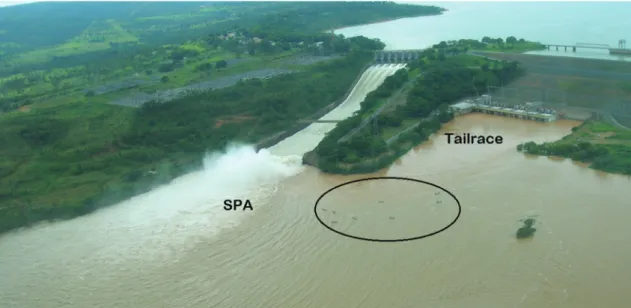 Fig. 1. The spillway plunge pool area (SPA) and the tailrace of Três Marias Dam, São Francisco River, Brazil