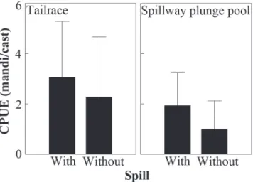Fig. 3. Mean plus one standard deviation of the CPUE of mandi in the tailrace (left panel) and in the spillway plunge pool area (right) at Três Marias Dam with and without spill.