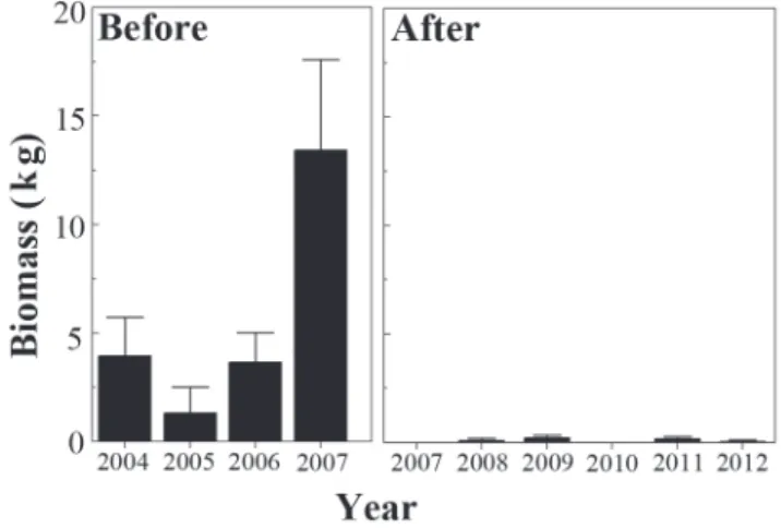 Fig. 5. Annual mean plus one standard error of dead/moribund fish biomass per turbine stop/startup before and after the use of fish screens.