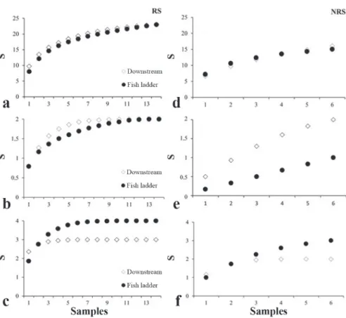 Fig. 4. Temporal variation of fish groups (a and d - non-migratory; b and e - migratory; c and f,- migratory allochthonous) richness (S) downstream and inside the fish ladder of Baguari Dam along the reproductive (RS - left column) and  non-reproductive (N