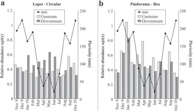 Fig. 10. Temporal pattern of the precipitation and abundance of fish in the sampled stretches of the Lopeí stream - circular culvert (a) and Pindorama stream - box culvert (b).