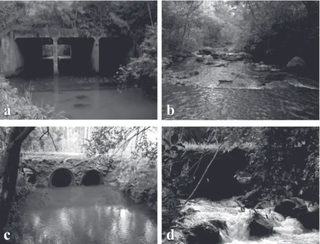 Fig. 2. Sampled stretches: Pindorama stream: a) upstream and b) downstream from box culvert, and Lopeí stream: c) upstream and d) downstream from circular culvert.