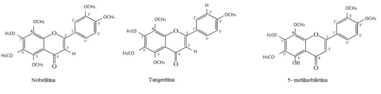Figura 1.5. Estrutura química da nobiletina, tangeritina e 5-metilnobiletina.  