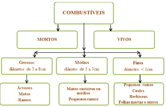 Figura 3. Classificação dos combustíveis florestais (Macedo e Sardinha, 1987 cit Carvalho, 2003)