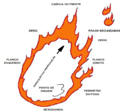 Figura 8. Padrão geral de crescimento de um incêndio florestal adaptado de Alexander (2000)